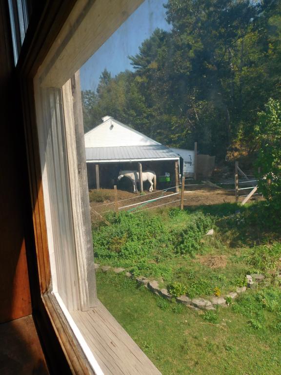 No View Farm Bed & Breakfast Rumford Exterior foto